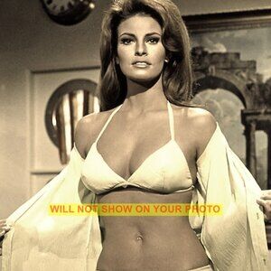 Photo Collectible Print 8x10 Hollywood Actress, Gorgeous Raquel Welch, No Tats!